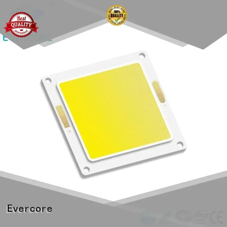 Evercore led cob Cold light modules modules