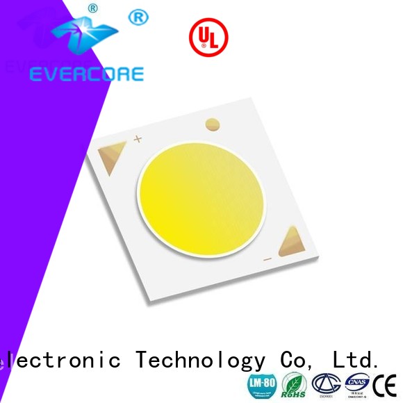 cheap Cob Led down supplier for lighting