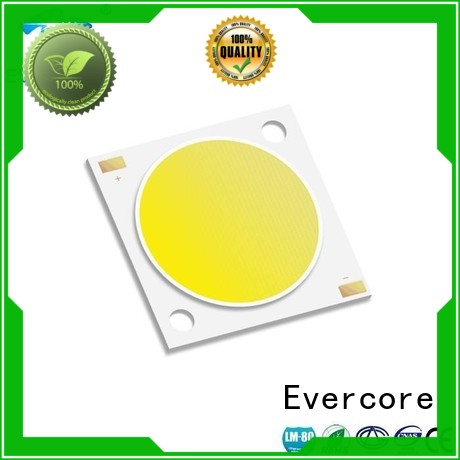 commercial  lighting cob leds cob Evercore Brand Cob Led Module modules
 cob
 led