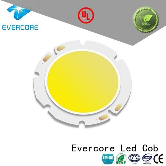 Evercore Brand 10W linear LM-80 commercial  lighting cob leds