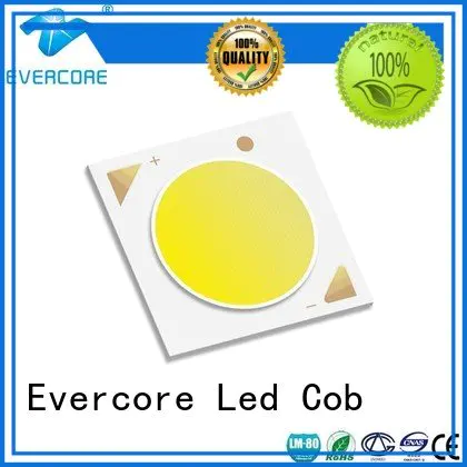 commercial  lighting cob leds High CRI Evercore Brand