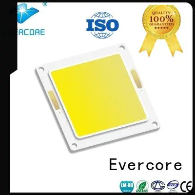 modules led high lighting efficiency Evercore Brand