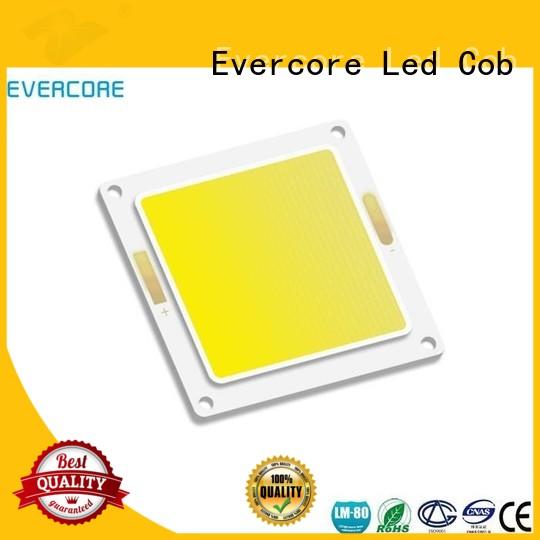 Evercore best quality buy outside lights from China for distribution