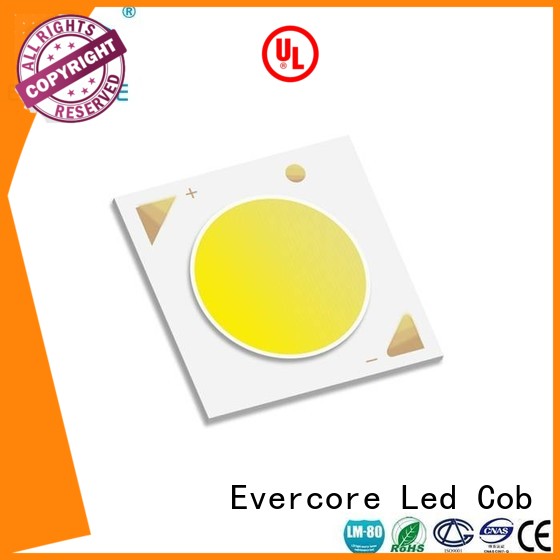 Evercore Brand 10W commercial  lighting cob leds Certified supplier