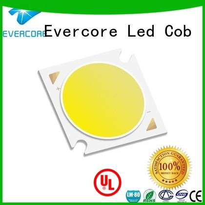 modules Cob Led Module High CRI LM-80 Evercore