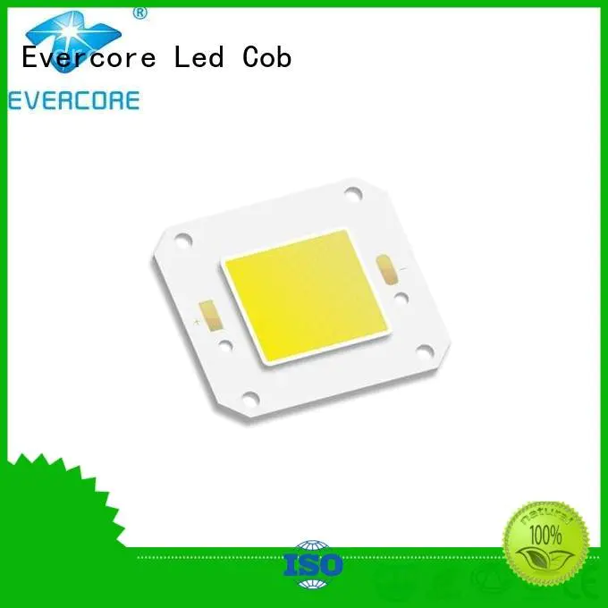 Custom Cold light modules cob led Evercore