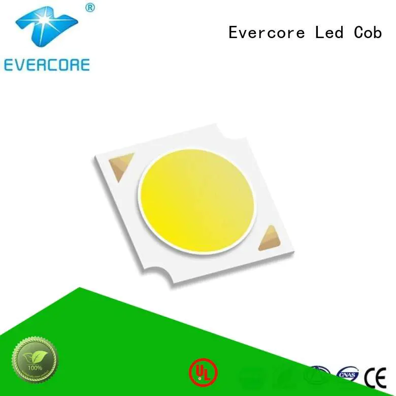 Universal Cob Led Module Evercore commercial  lighting cob leds modules
 cob
 led
 linear