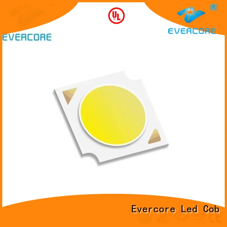 Evercore modules Led Cob Chip supplier for distribution