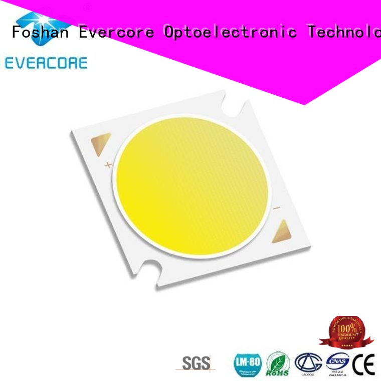 Evercore Brand color rgb cob led modules factory