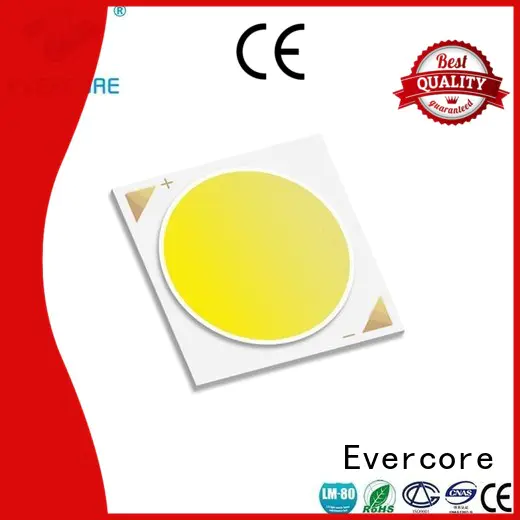 Evercore green good quality cob led modules factory spot for lighting