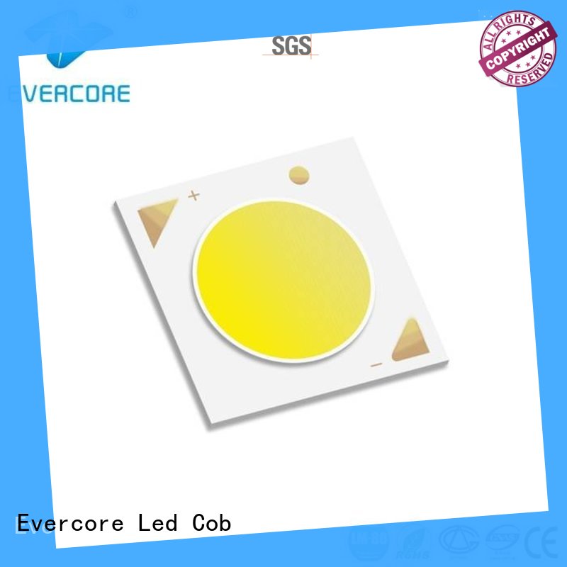 Evercore cheap Cob Led supplier for distribution