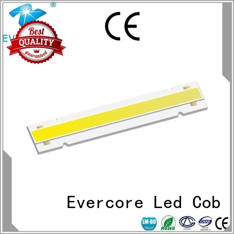 Evercore h18 Cob Led factory for distribution