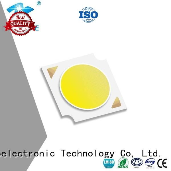 Certified Cob Led Module 10W LM-80 Evercore