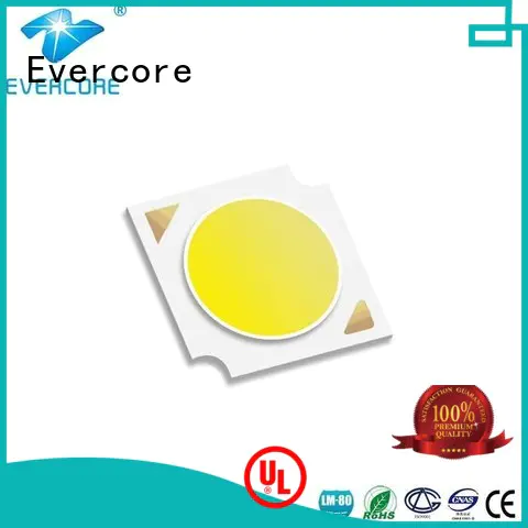 Evercore cheap rgb cob led manufacturer for lighting
