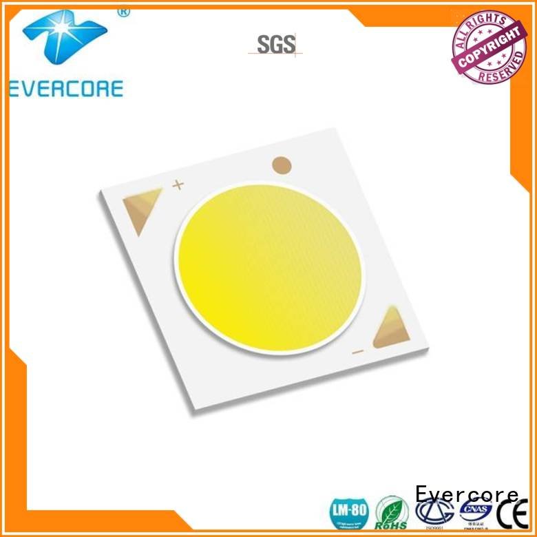 Wholesale Universal linear Cob Led Module Evercore Brand