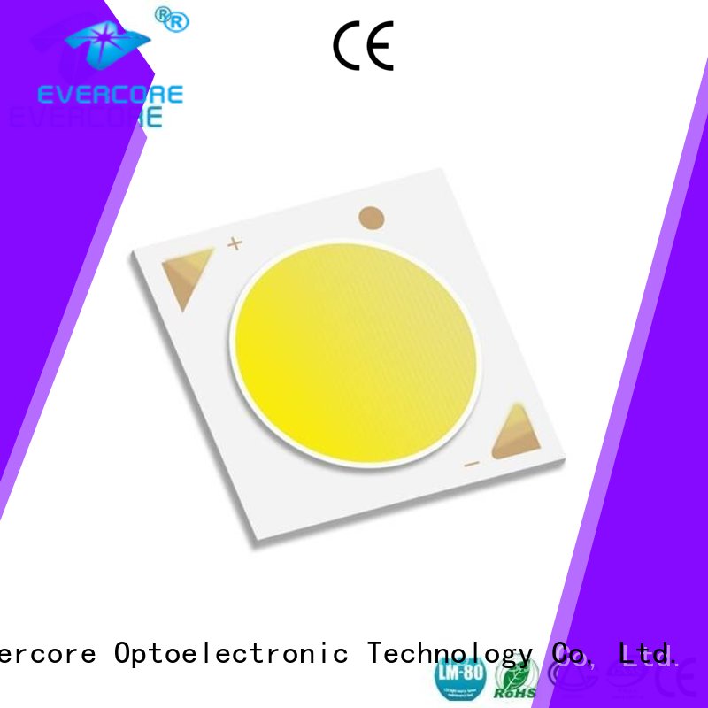 Evercore 1375 Cob Led supplier for sale