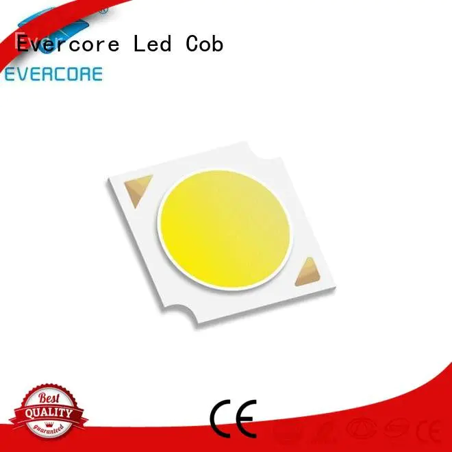 Evercore Brand Certified cob linear Cob Led Module 10W