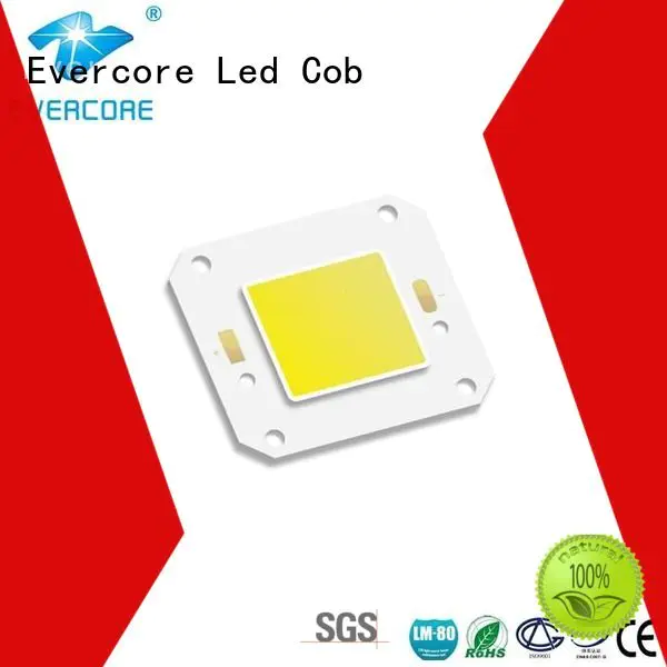 cob Cold light Evercore high lighting efficiency