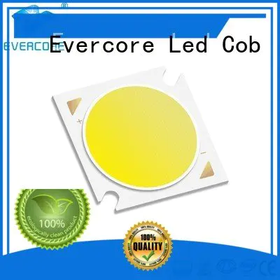 Evercore led Cob Led Module linear