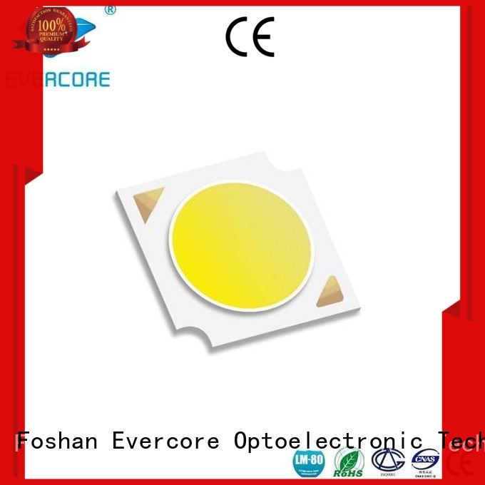 Evercore cheap Cob Led supplier for distribution