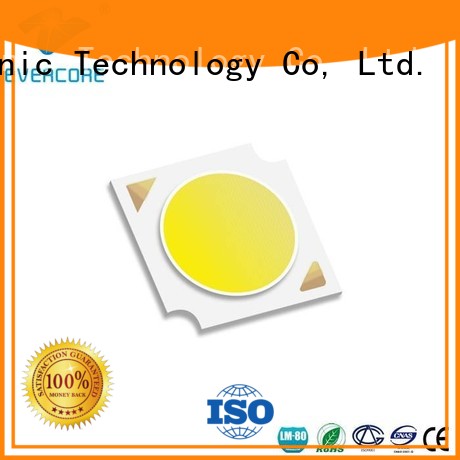 Wholesale Certified commercial  lighting cob leds Evercore Brand