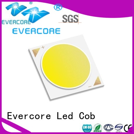 Evercore light rgb cob led factory for distribution