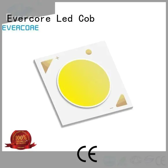 commercial  lighting cob leds 10W Evercore Brand