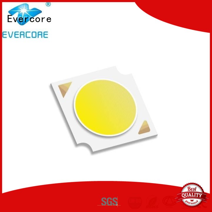 Evercore 130lmw） Cob Led supplier for distribution