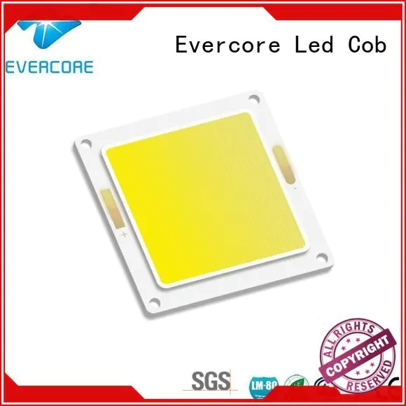Evercore led modules Cold light cob cob