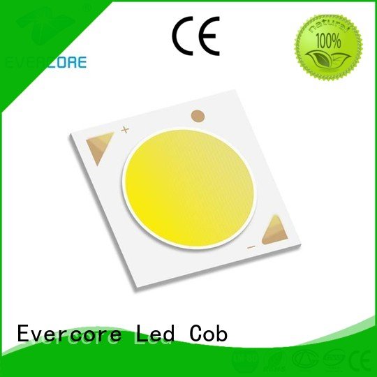 LM-80 Universal Cob Led Module Certified Evercore