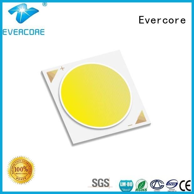 Evercore commercial  lighting cob leds Universal color 36W High CRI