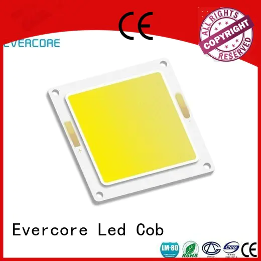 Evercore h66 spot led cob from China for distribution