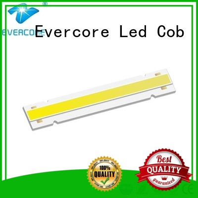 led color 10W Cob Led Module Evercore Brand company