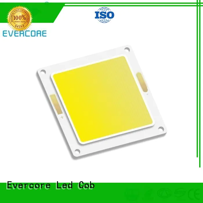 Evercore tunnel led smd rgb exporter for importer