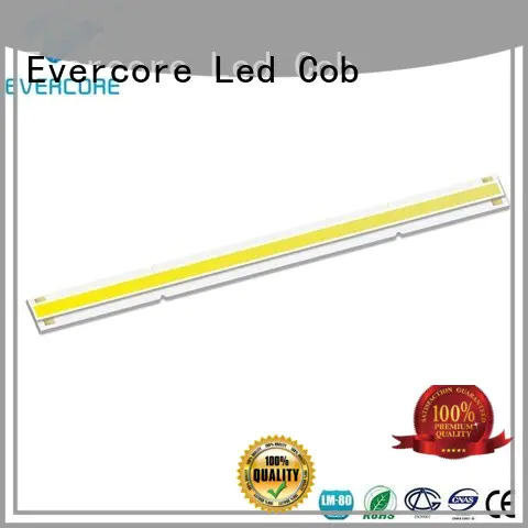 T14 Linear COB  LED