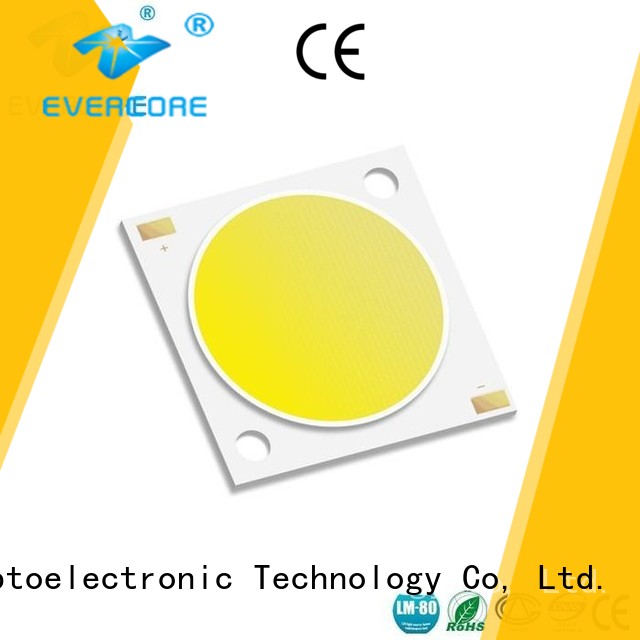 Quality Evercore Brand Universal Cob Led Module led
 cob