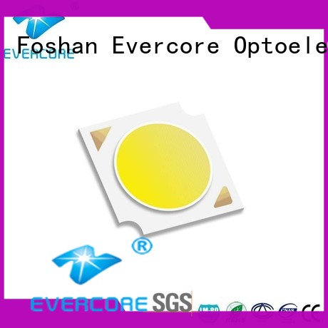 Evercore green Cob Led factory for distribution