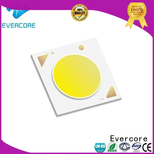 Universal Certified 36W commercial  lighting cob leds Evercore
