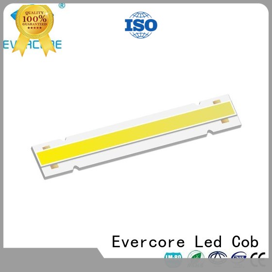 Certified Universal Cob Led Module Evercore Brand