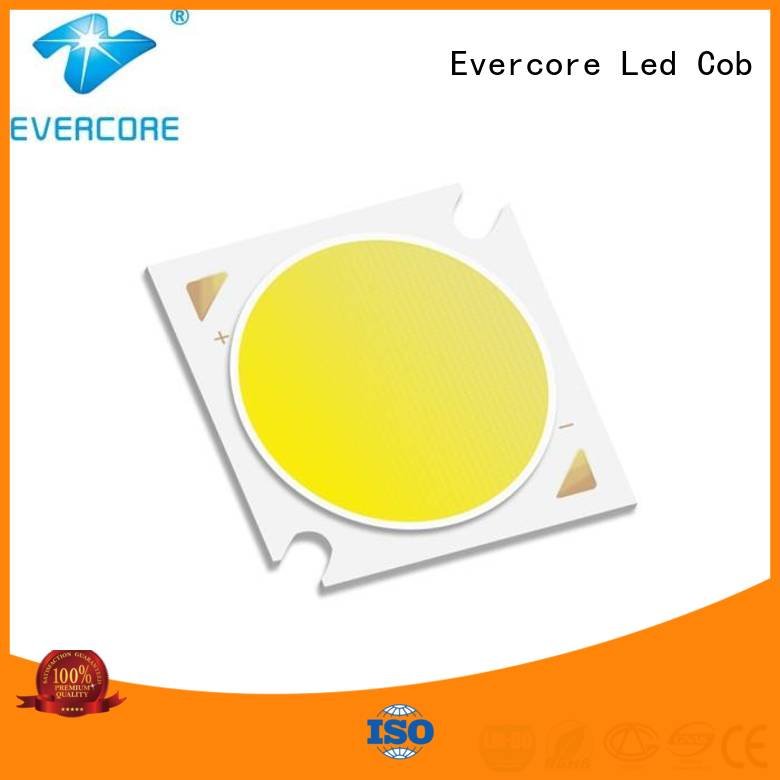 Evercore color Cob Led Module LM-80 Universal