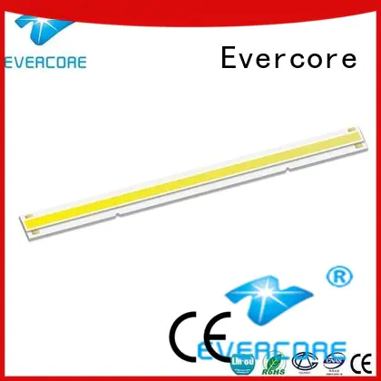 Evercore （bh1917 rgb cob led factory for distribution
