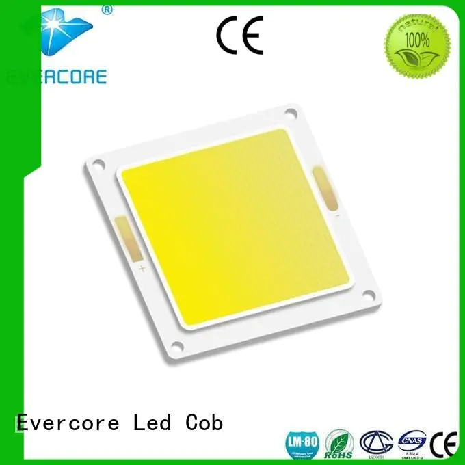 high lighting efficiency cob Cold light Evercore Brand