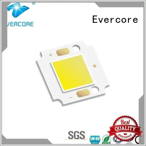 cob led modules Evercore Cold light