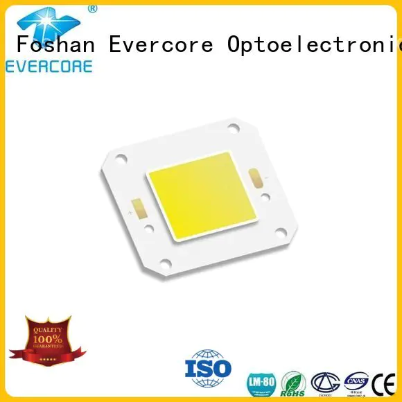 Evercore high lighting efficiency cob modules led