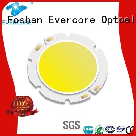 Custom Cob Led Module color Certified 36W Evercore