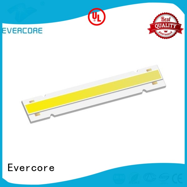 Evercore Brand cob lighting downlight led cob led supplier