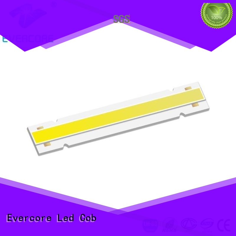 Evercore Brand Certified cob Cob Led Module led factory
