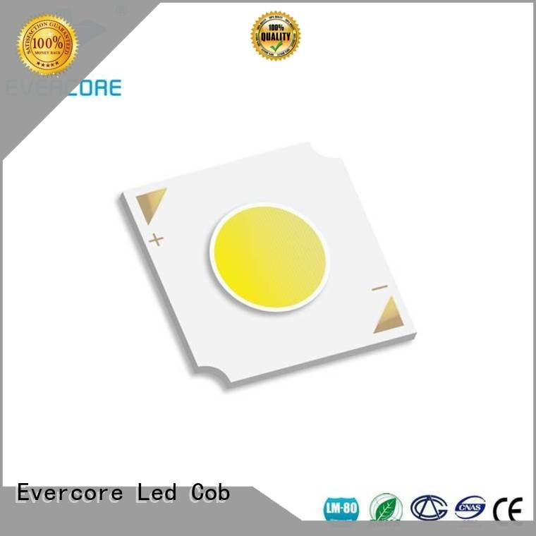 Custom linear Cob Led Module led commercial  lighting cob leds