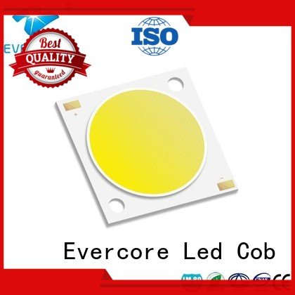 Evercore Brand cob 36W commercial  lighting cob leds linear 10W