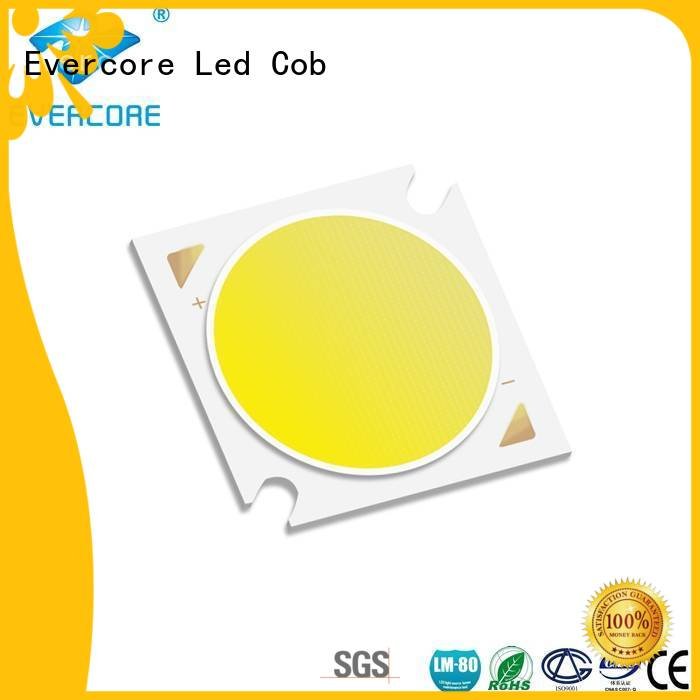 Evercore Cob Led Module led Universal 10W High CRI